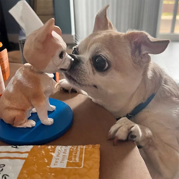 Customer photo