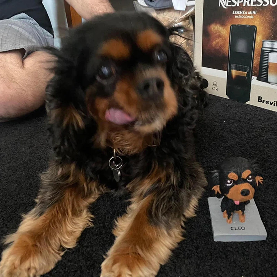 Pet lover custom bobblehead gift
